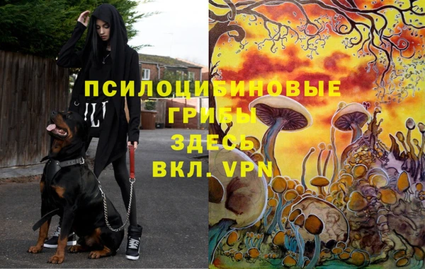 jwh Белоозёрский
