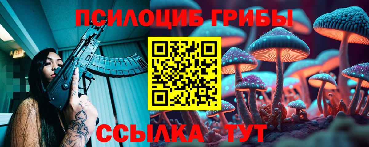 Галлюциногенные грибы Psilocybine cubensis  Вход с VPN  Псилоцибиновые грибы Psilocybe  Бутурлиновка 