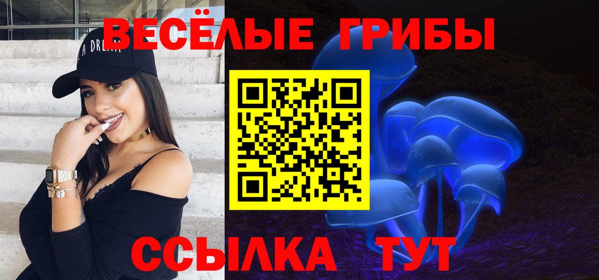 Галлюциногенные грибы GOLDEN TEACHER Бутурлиновка